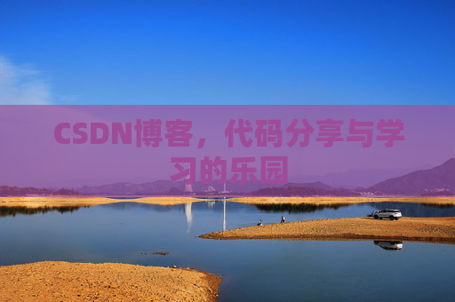 CSDN博客，代码分享与学习的乐园
